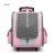 Pet Carrier Backpack For Dogs Cats Foldable Transparent Pet Bag