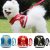 Reflective Pet Dog Harness Vest Puppy Cat Walking Lead Leash